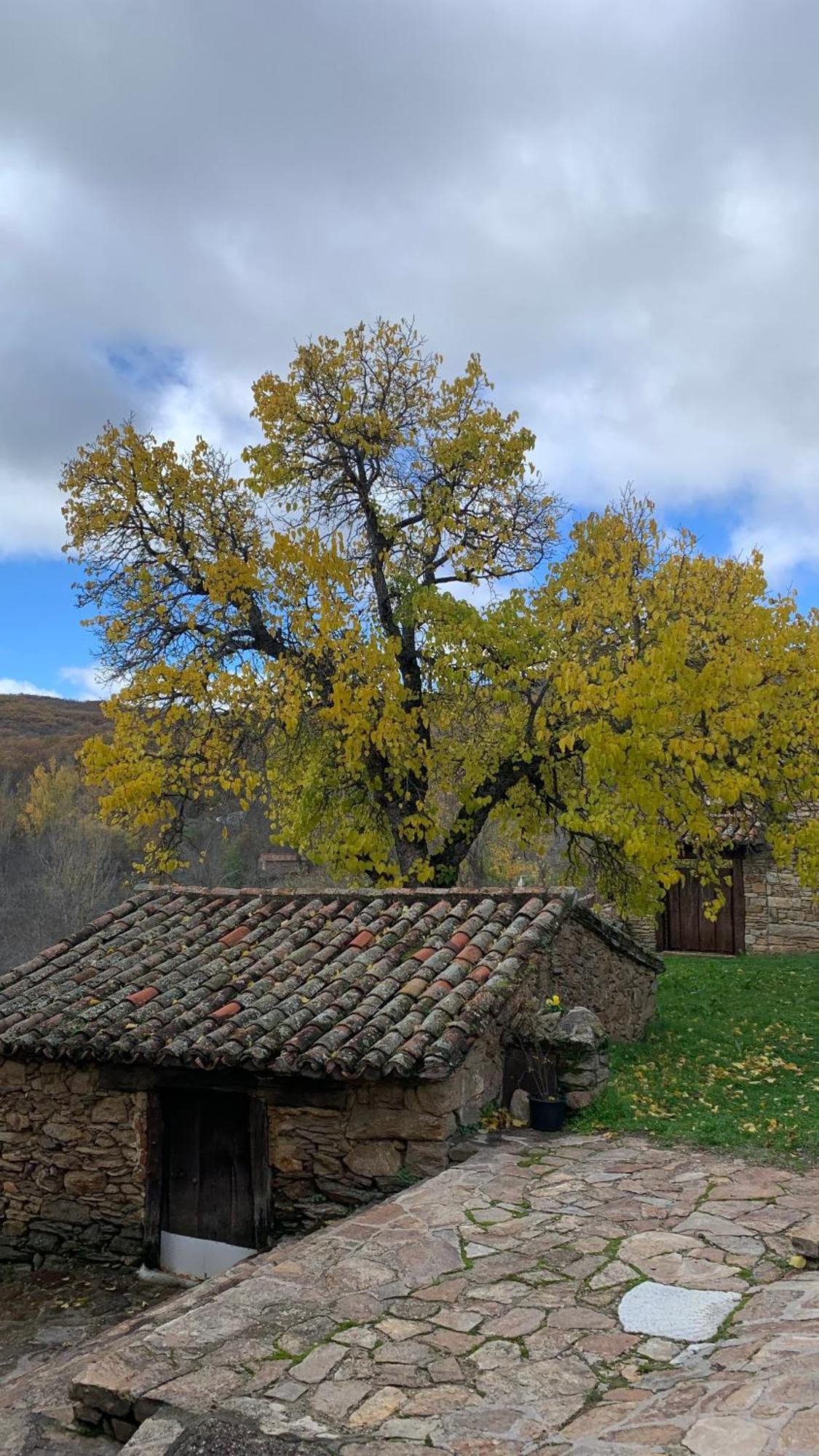 Al Viento, Alojamiento & Turismo Rural Pradena Del Rincon מראה חיצוני תמונה