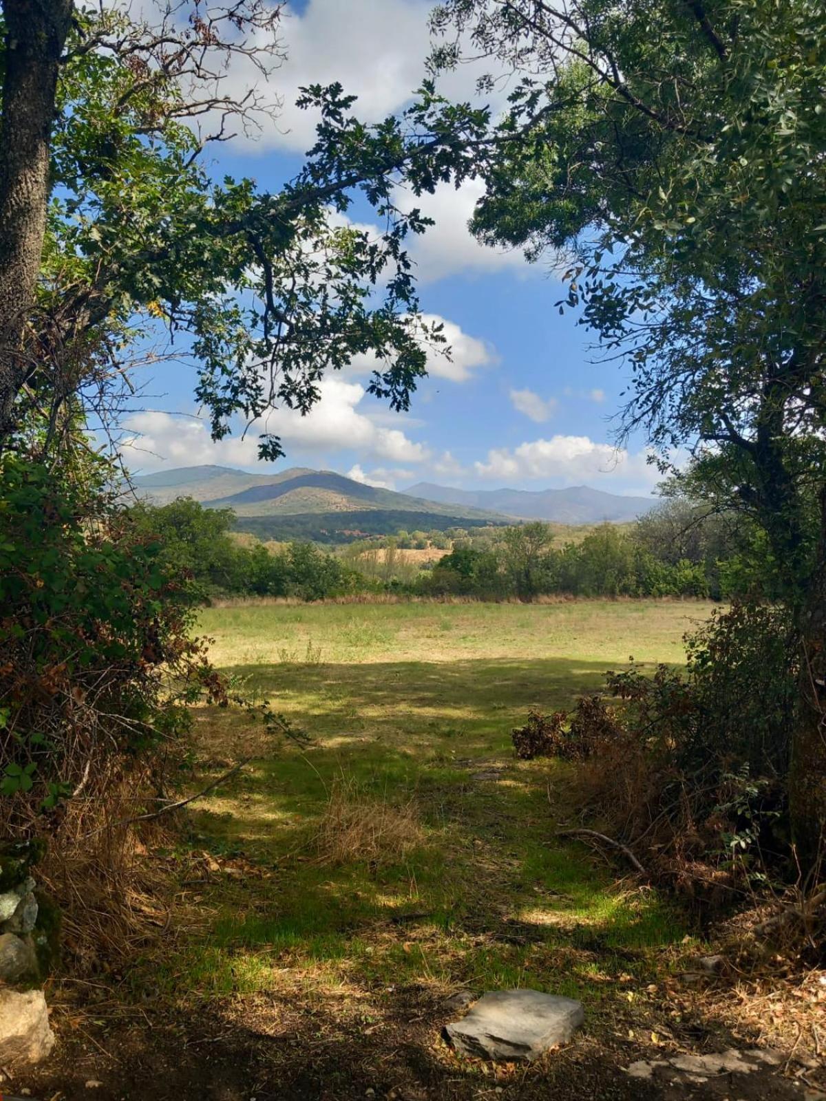 Al Viento, Alojamiento & Turismo Rural Pradena Del Rincon מראה חיצוני תמונה
