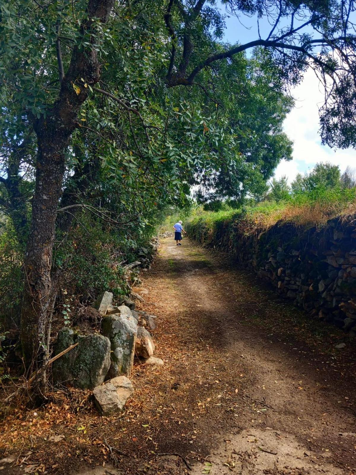 Al Viento, Alojamiento & Turismo Rural Pradena Del Rincon מראה חיצוני תמונה