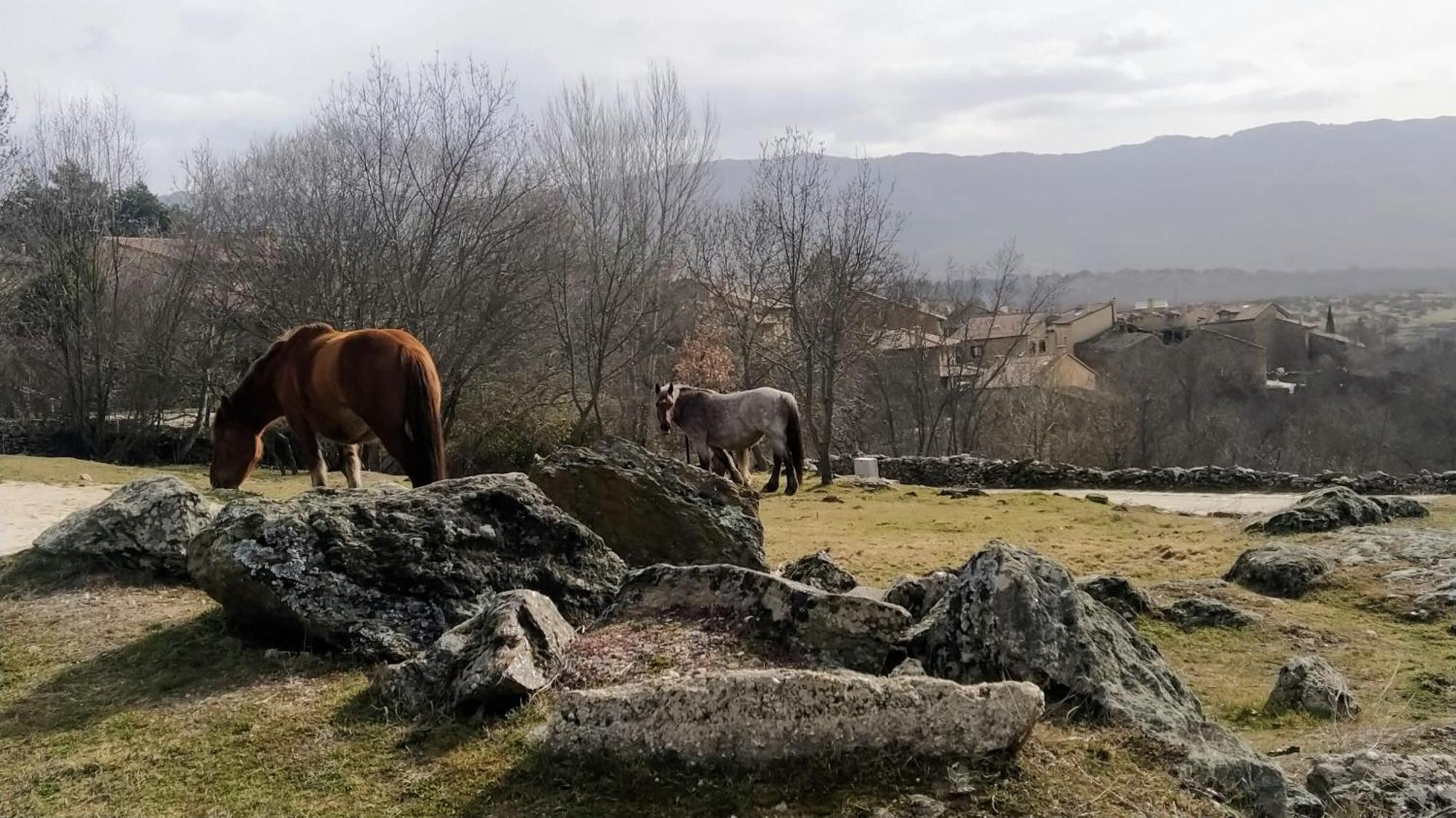Al Viento, Alojamiento & Turismo Rural Pradena Del Rincon מראה חיצוני תמונה