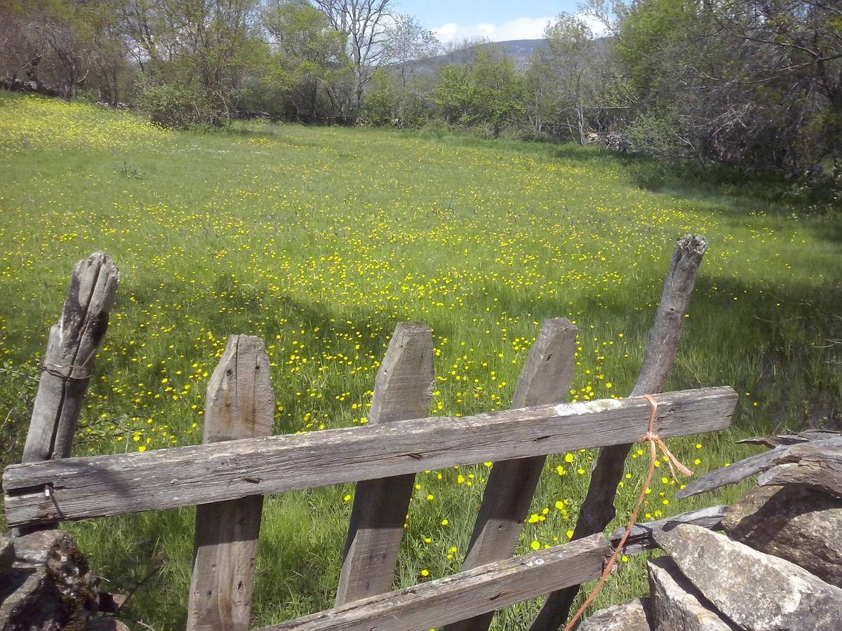 Al Viento, Alojamiento & Turismo Rural Pradena Del Rincon מראה חיצוני תמונה
