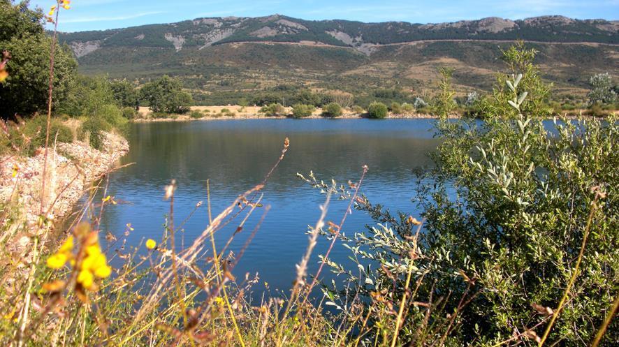 Al Viento, Alojamiento & Turismo Rural Pradena Del Rincon מראה חיצוני תמונה
