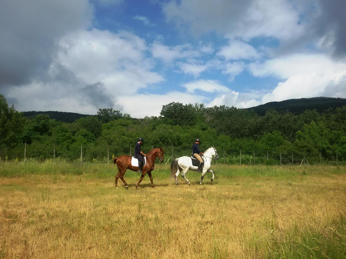Al Viento, Alojamiento & Turismo Rural Pradena Del Rincon מראה חיצוני תמונה
