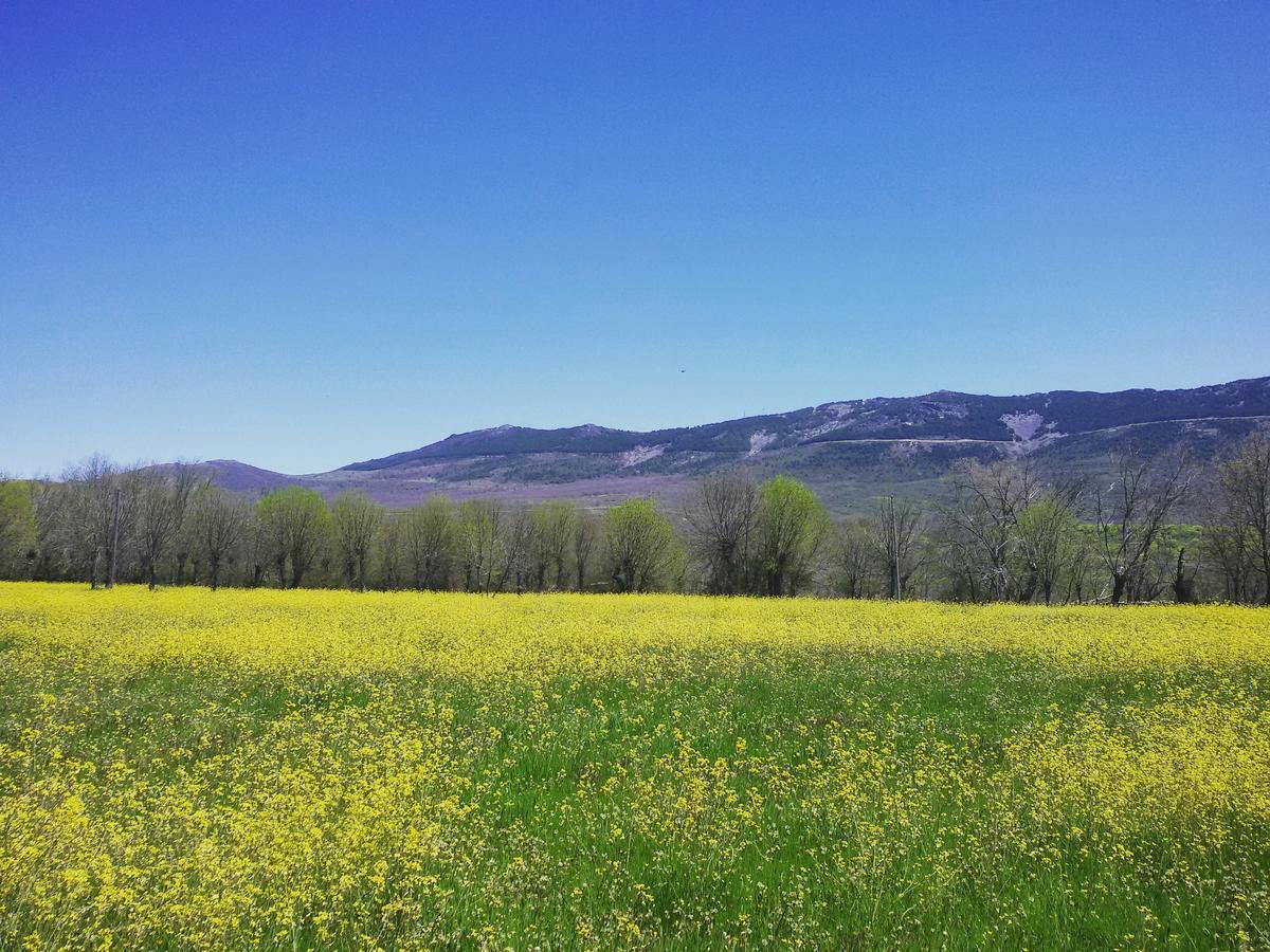 Al Viento, Alojamiento & Turismo Rural Pradena Del Rincon מראה חיצוני תמונה